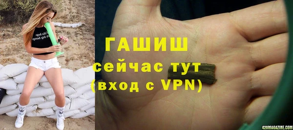 шишки Елизово