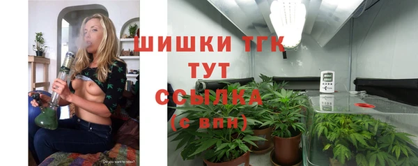 шишки Елизово