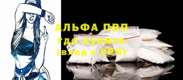 шишки Елизово