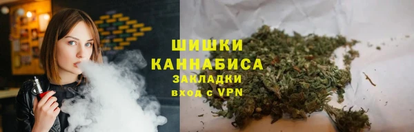 шишки Елизово