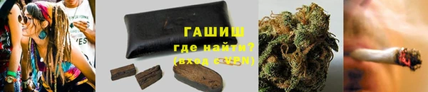 шишки Елизово