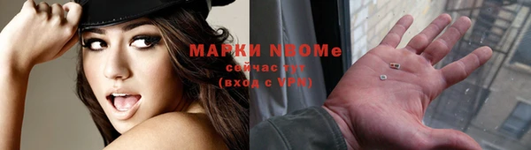 шишки Елизово
