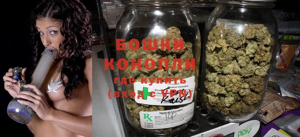 шишки Елизово