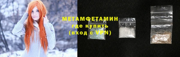 шишки Елизово