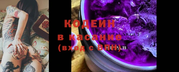 шишки Елизово