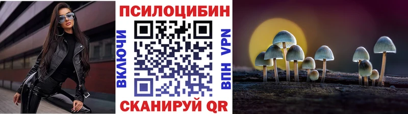 Псилоцибиновые грибы Psilocybe  Сельцо 